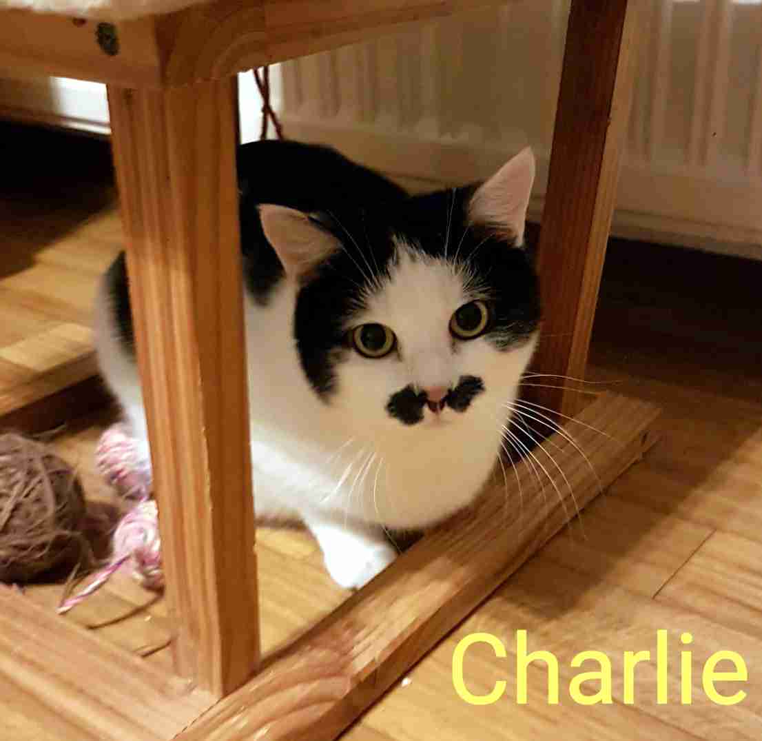 Charlie