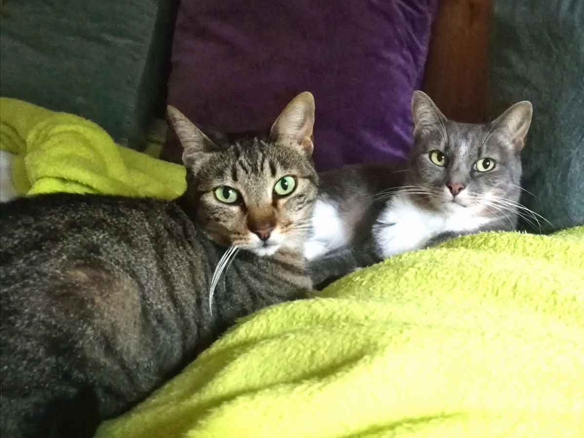Julie+Irmela_004