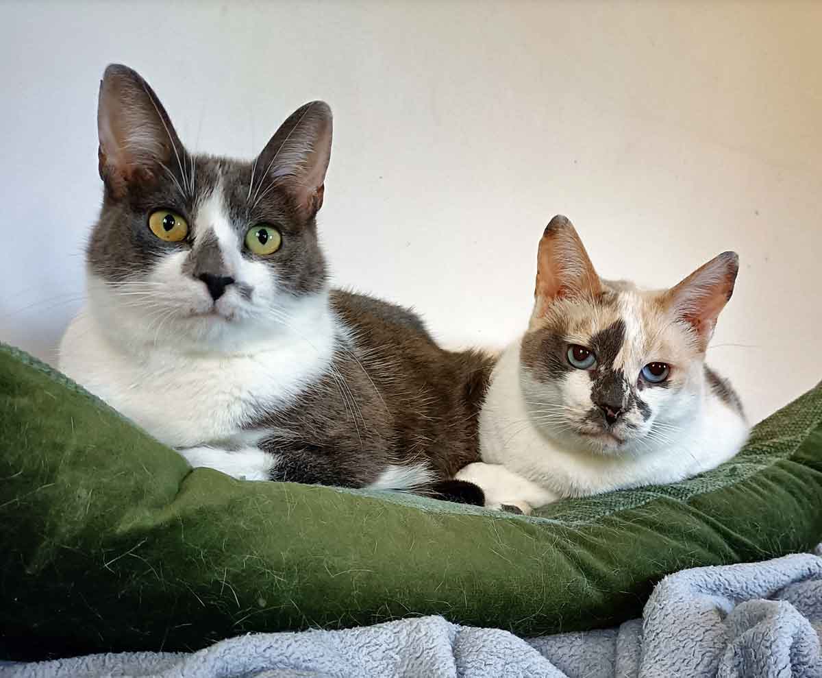 Kitty+Holly_001