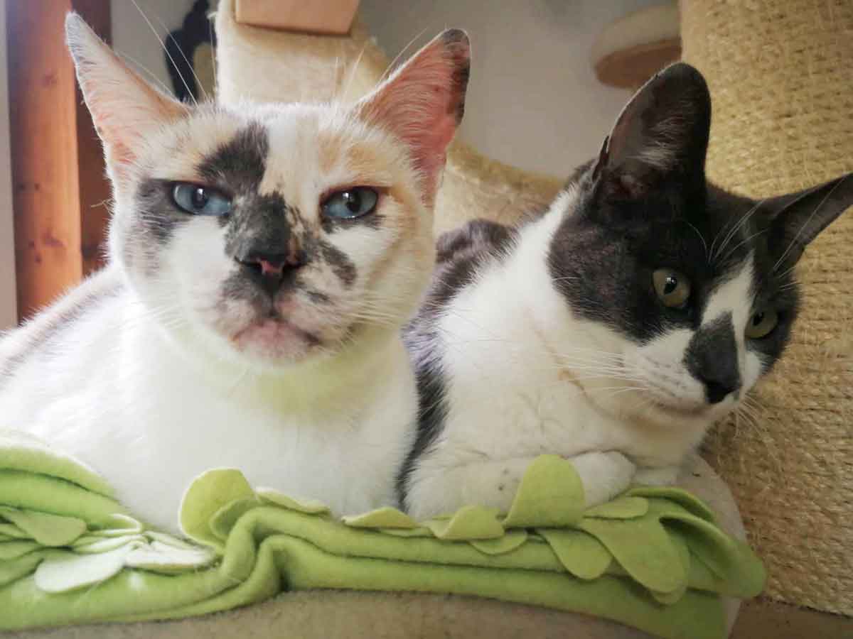 Kitty+Holly_003
