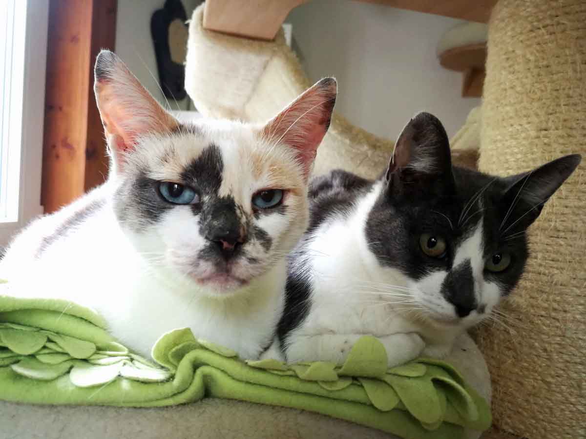 Kitty+Holly_004