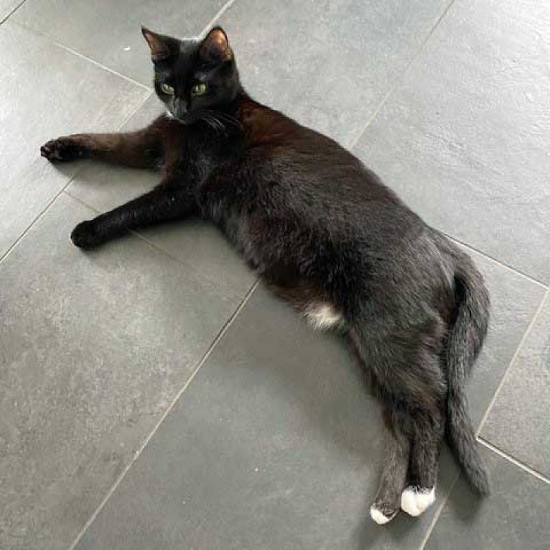 0002-8