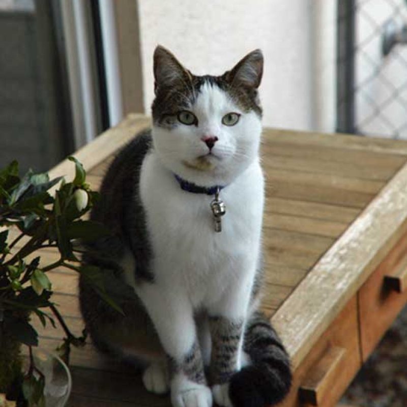 0003-1-12
