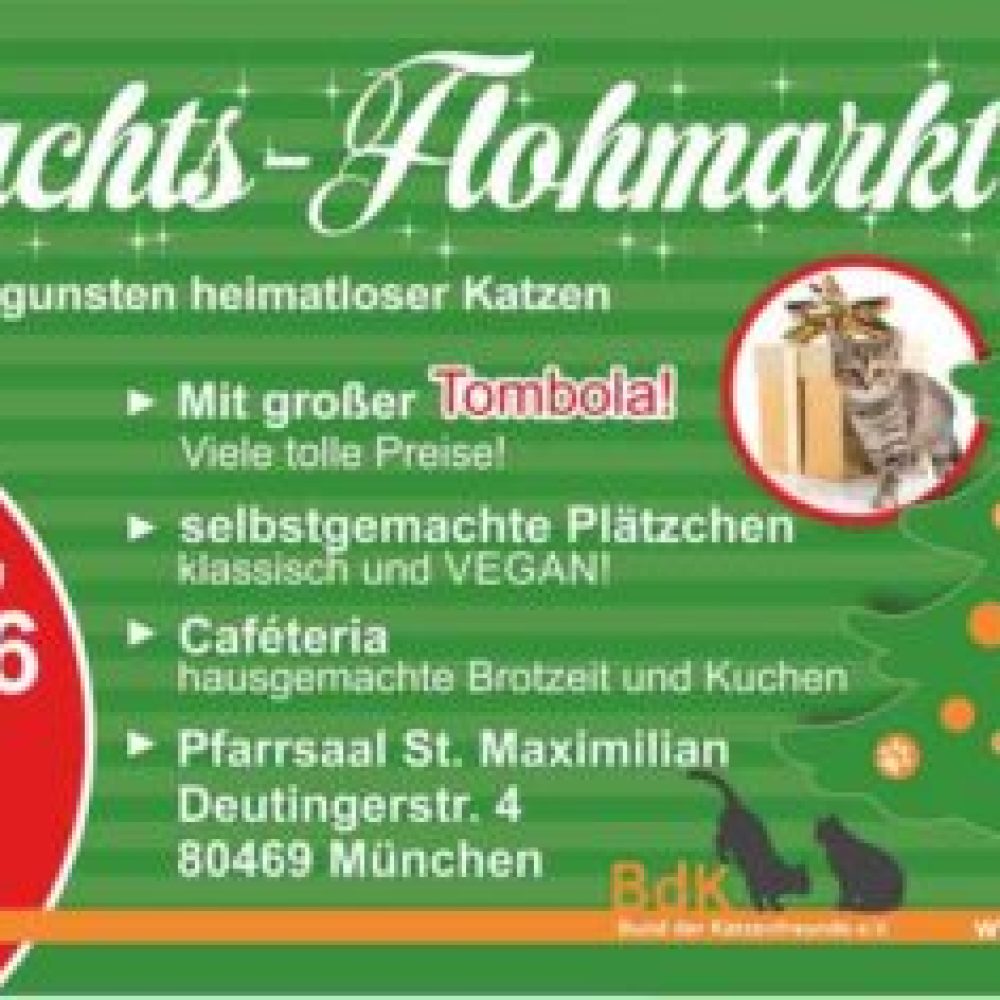 2026-xmas