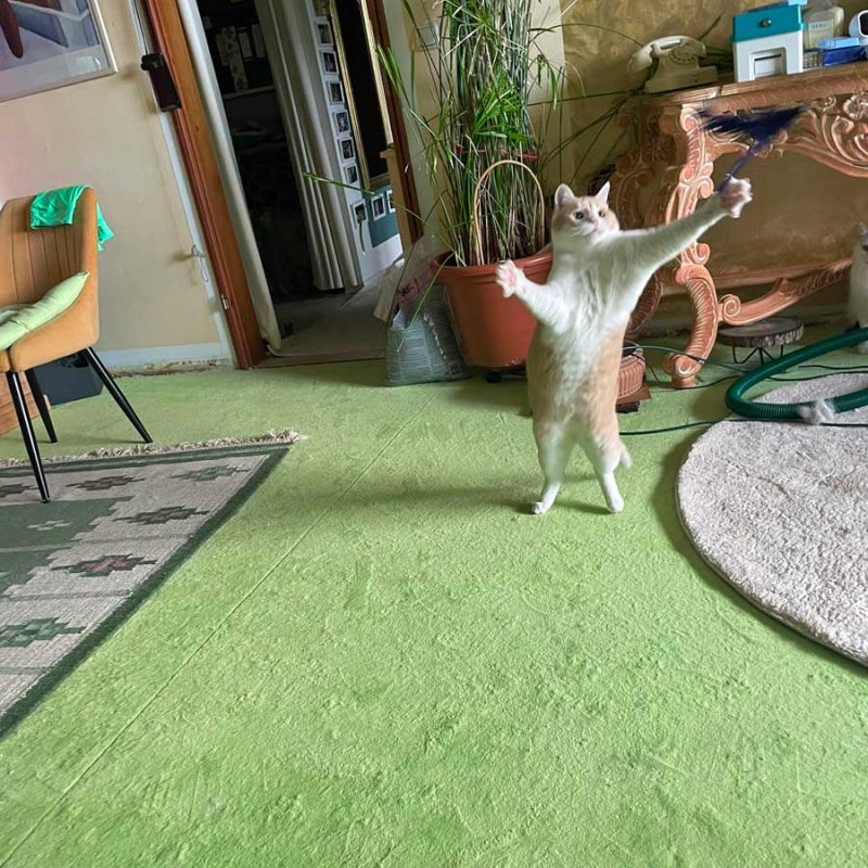 Carlo004