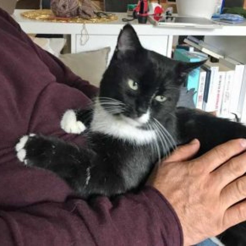 Felix-2019-09_02-300x291-1