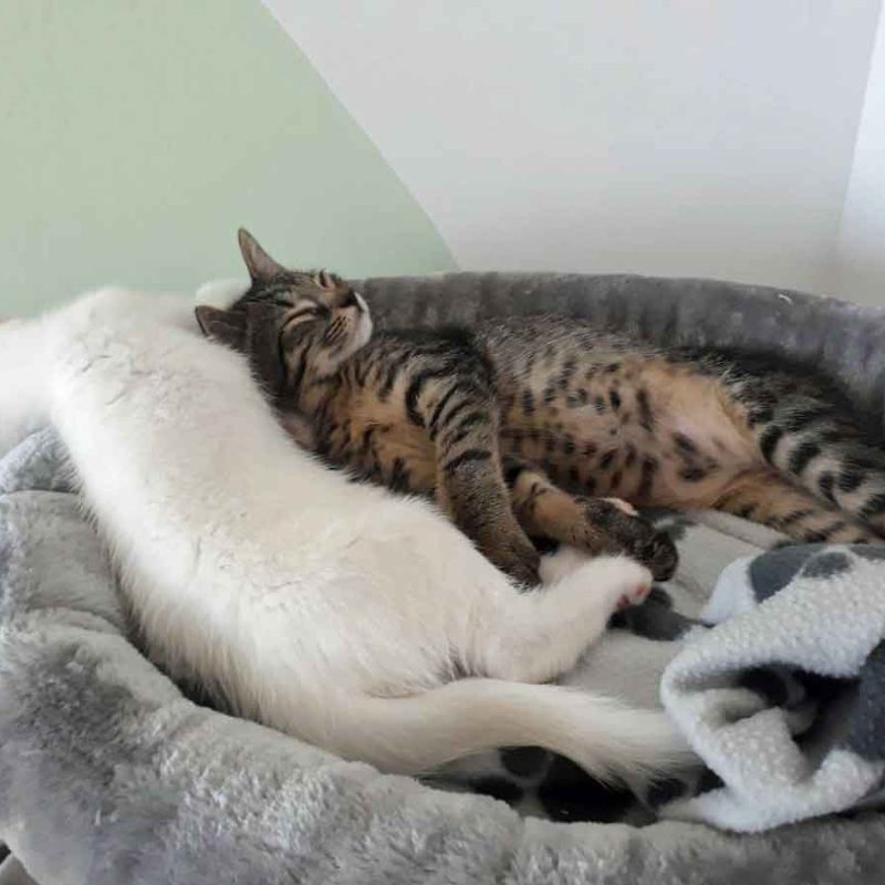 Finn-und-Nicki-2