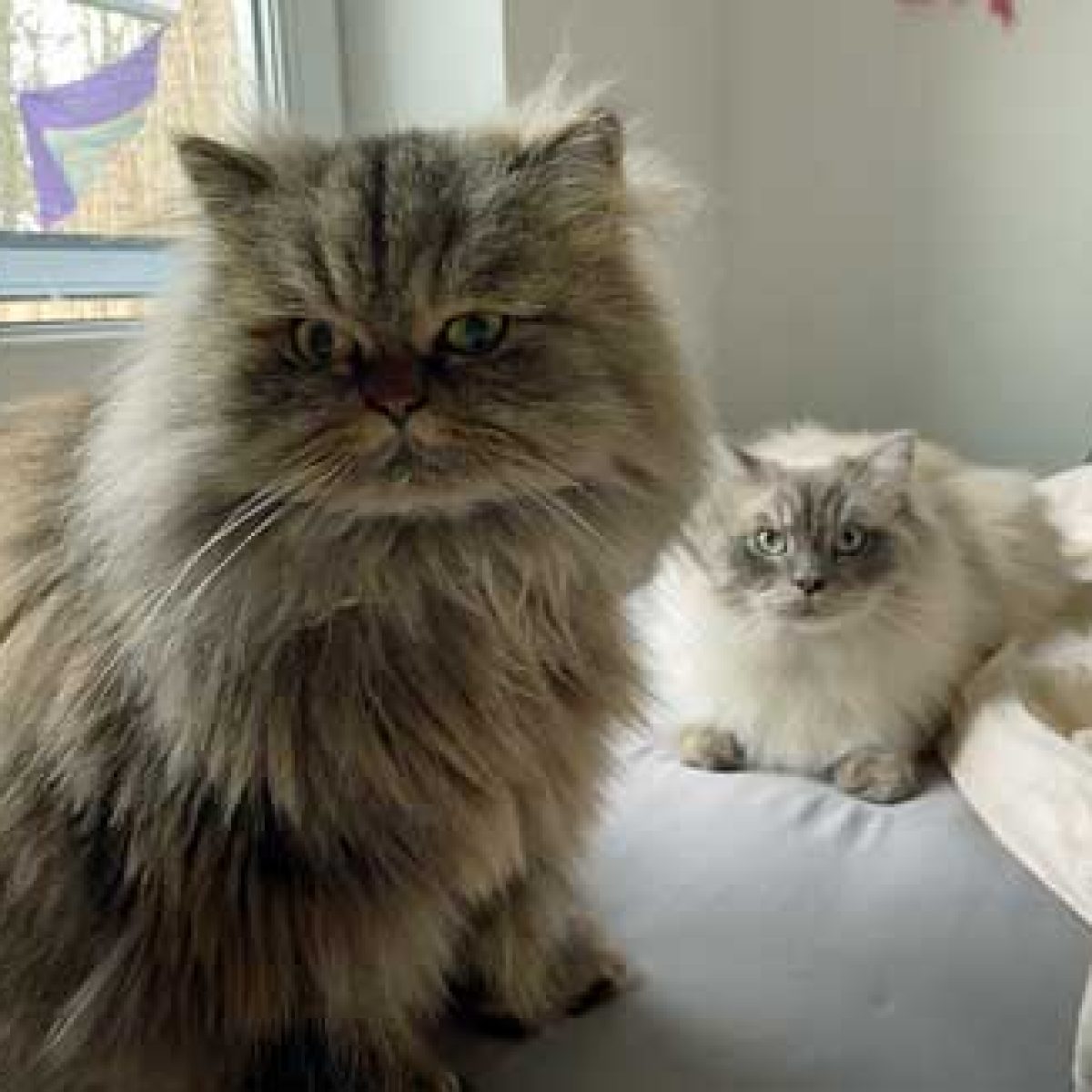 FusselPumba01