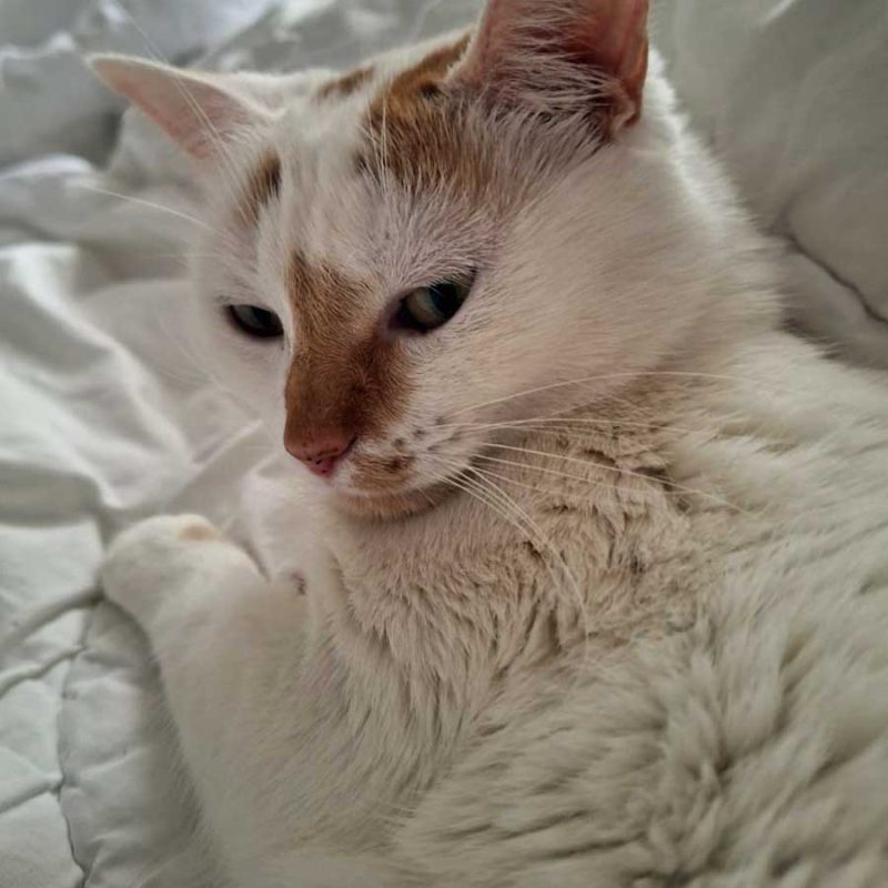 Hermine_0002