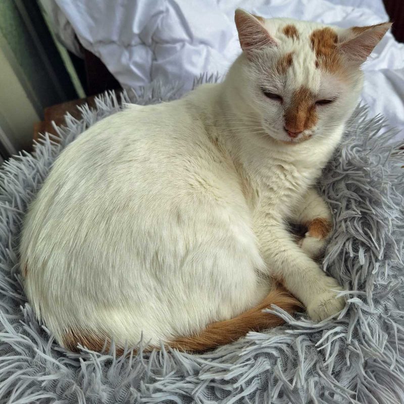 Hermine_0004