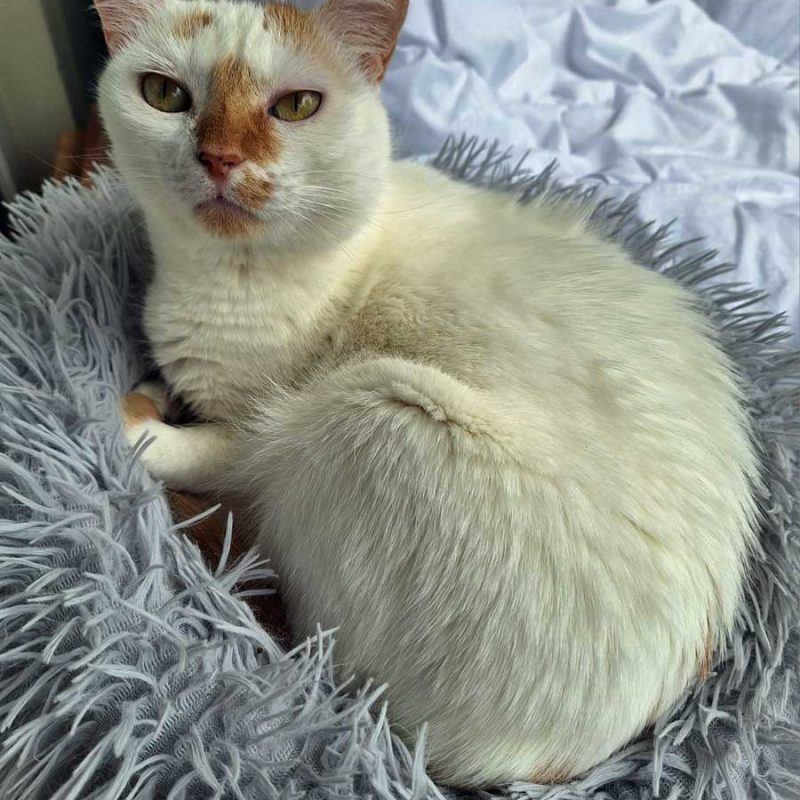 Hermine_0005