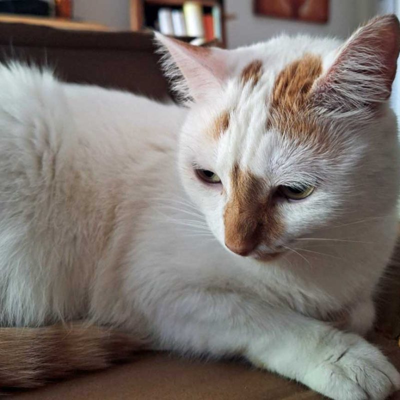Hermine_0007