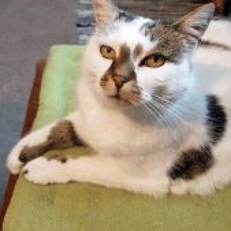 Mimi-169x300-1